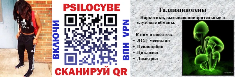 Галлюциногенные грибы мицелий  купить наркотик  Няндома 