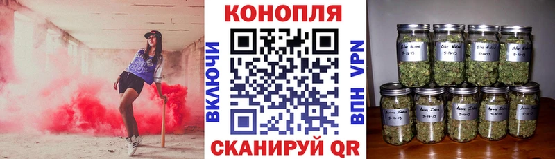 купить закладку  Няндома  Бошки марихуана сатива 